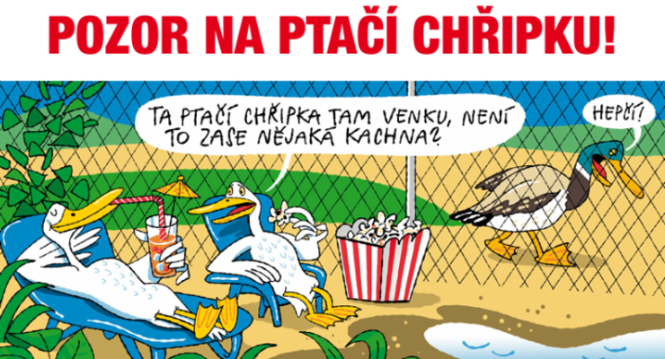 Ptačí chřipka u volně žijících ptáků